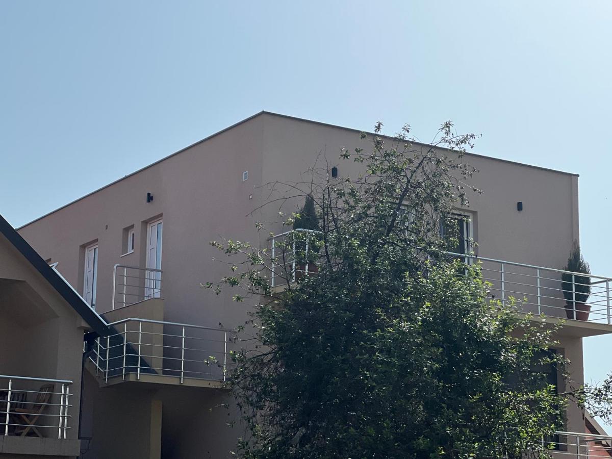 Apartman Scepanovic Niksic ภายนอก รูปภาพ